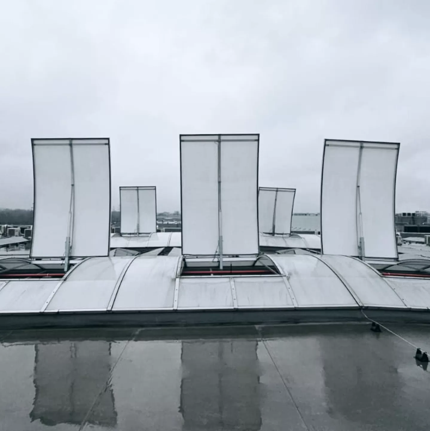 Projekt: Revízia ZOKT